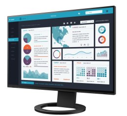 EIZO FlexScan EV2495-BK - monitor LCD 24